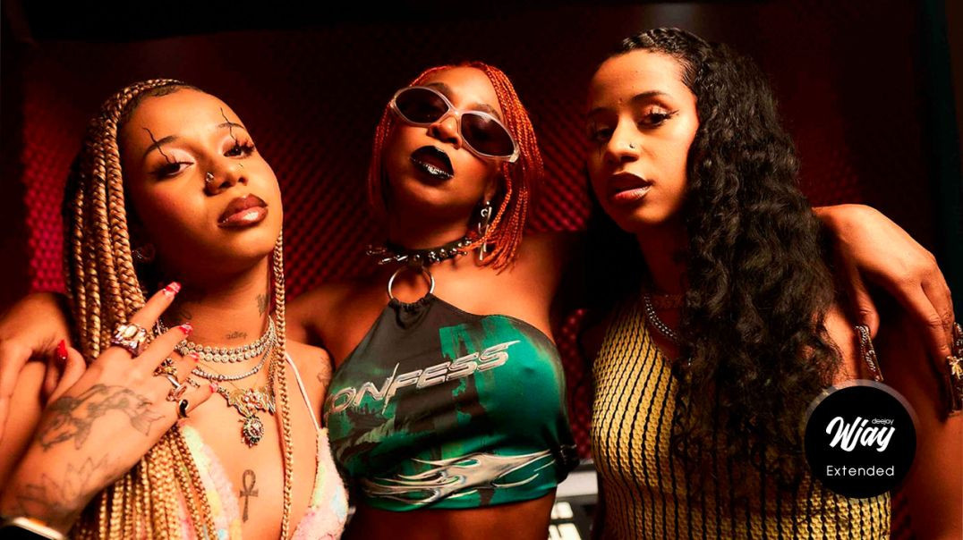 Karol Conká - Negona (Ft Tasha & Tracie - DJ Wjay Extended)